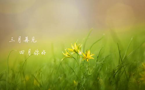和三月说一声再见,向四月道一声你好的唯美说说