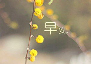 微商正能量早安经典语录一段话