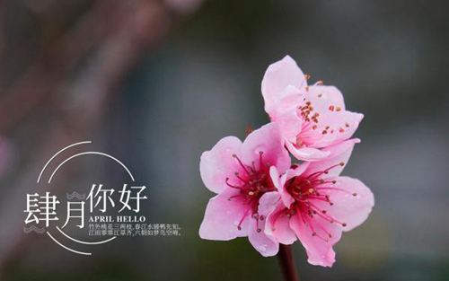 三月即将过去,四月你好的唯美说说