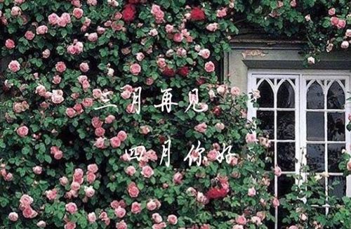 春风和煦,告别了三月,迎来了四月的唯美说说