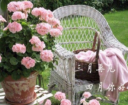 春风和煦,告别了三月,迎来了四月的唯美说说