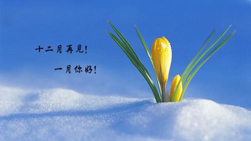 十二月的离去，等待一月到来的唯美文艺说说