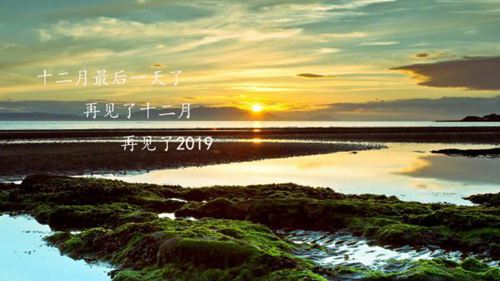 十二月最后一天,对2020说再见的唯美说说