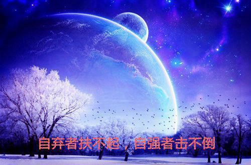 关于现实爱情的经典个性签名49句
