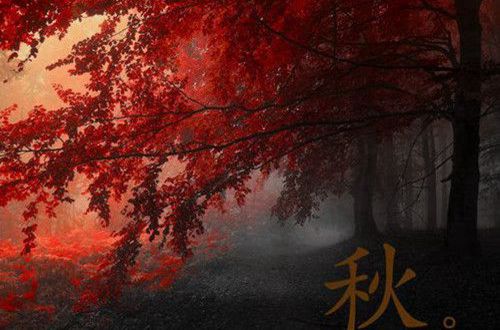 温馨浪漫幸福的情侣个性签名大全