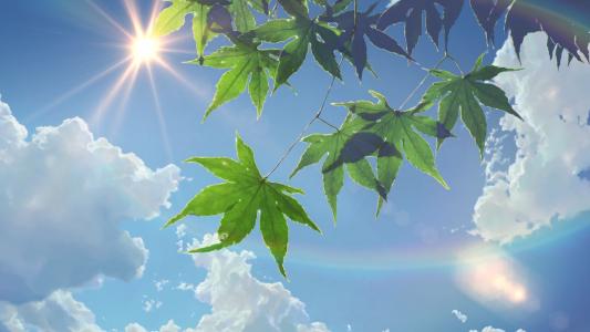 情感语录短句伤感情
