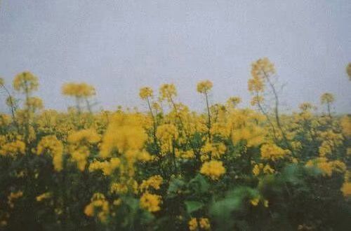 甜蜜情侣个性签名给亲爱的她