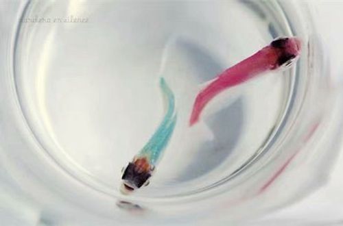 伤感文艺情侣签名