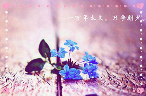 2019年令人羡慕幸福的情侣签名