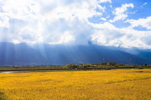 带孩子结束旅程的简短心情