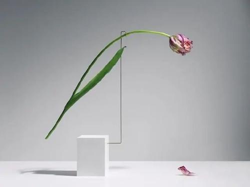 高质量文案句子