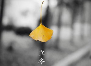 2019冬天好冷随笔杂谈语句大全