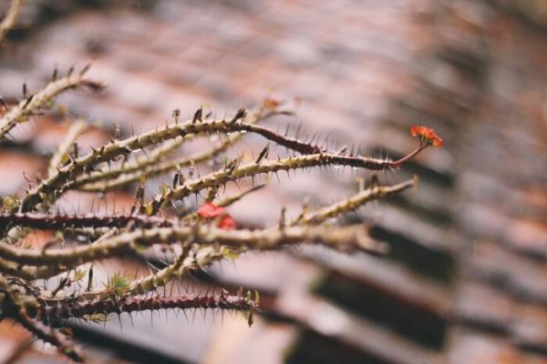 天气太热发朋友圈幽默说说 调侃天气热的搞笑段子句子