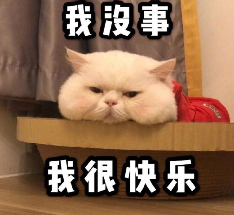 适合发在朋友圈的可爱沙雕文案  笑晕在厕所