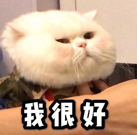 适合发在朋友圈的可爱沙雕文案  笑晕在厕所