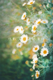 又短又好的名人名言
