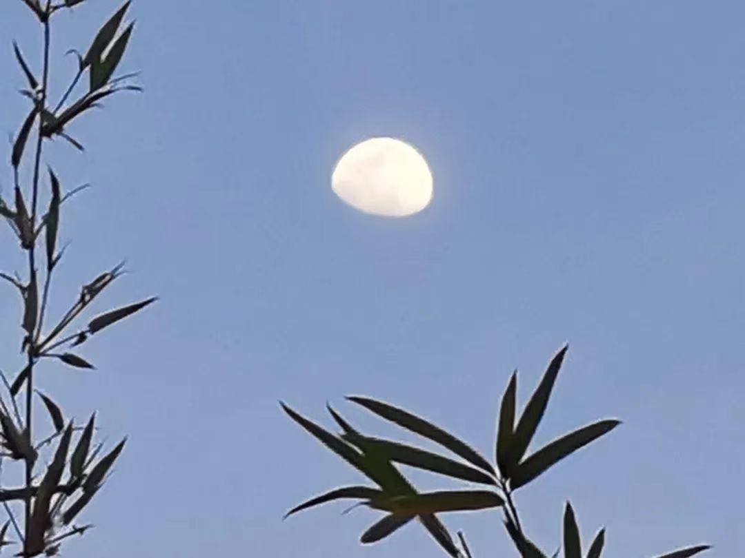 简短可爱说说心情短语