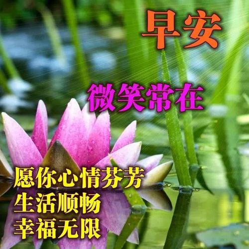 天冷加衣早安问候语
