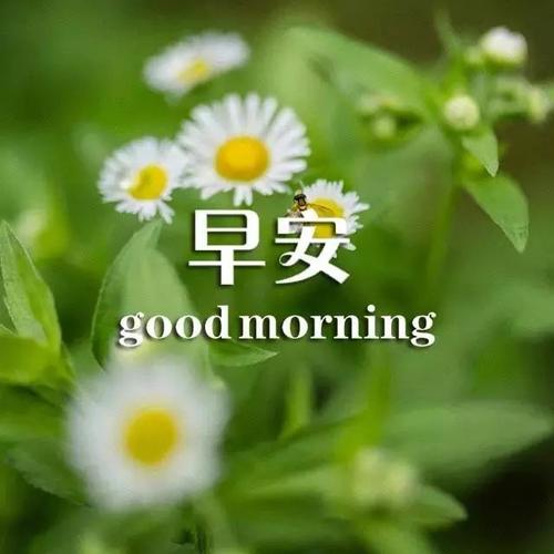 天冷加衣早安问候语