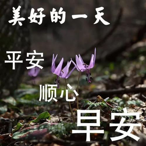 天冷的早安说说短句
