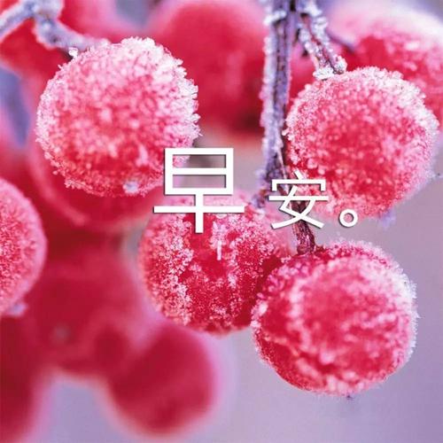 发给情人的暖心早安短信