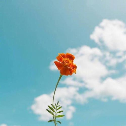 周末早安正能量说说朋友圈