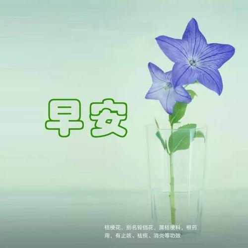周末早安正能量说说朋友圈