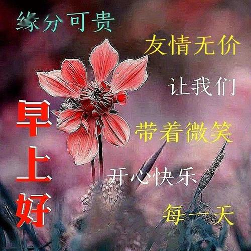 最暖心的周末早安问候