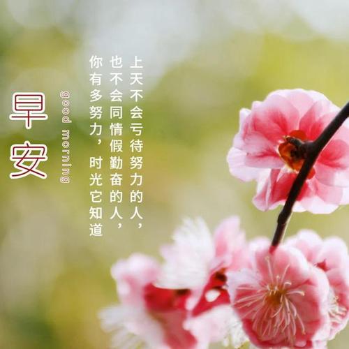 最暖心的周末早安问候