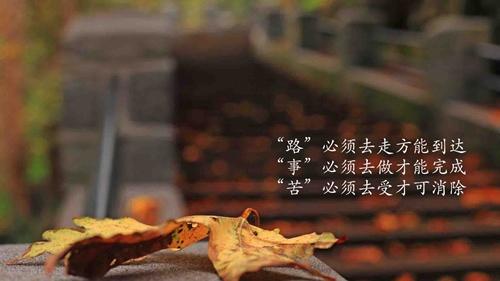 如何表达心情的说说