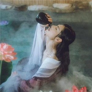 名人名句优美句子摘抄高中