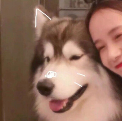双鱼座情话馆