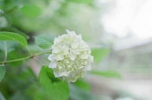 夫妻恩爱的幸福个性签名(46句)