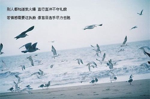 幸福家庭的个性签名(49句)