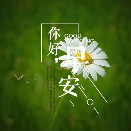 2021伤感说说配图