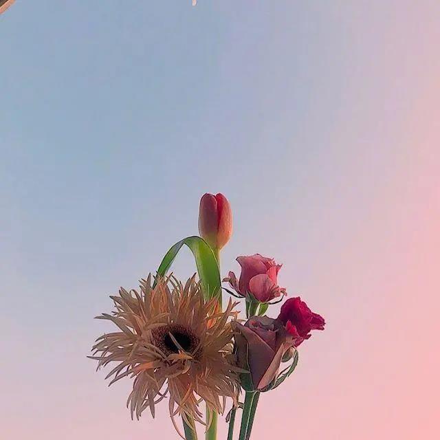 温柔好听的句子 一眼心动的温柔文案