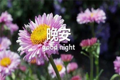 适合发全家福的句子 描写家的唯美句子