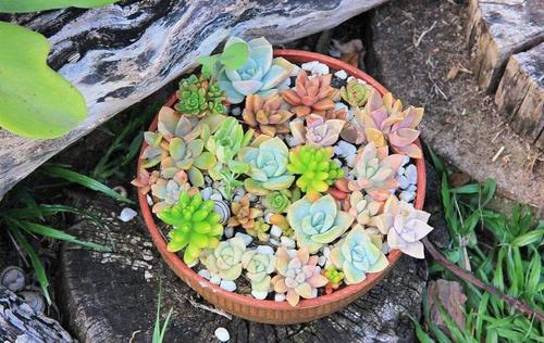 生活说说感悟生活自己短句