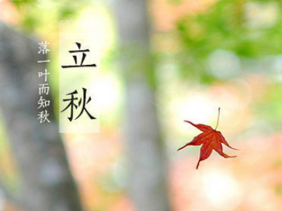 红色精神手抄报句子