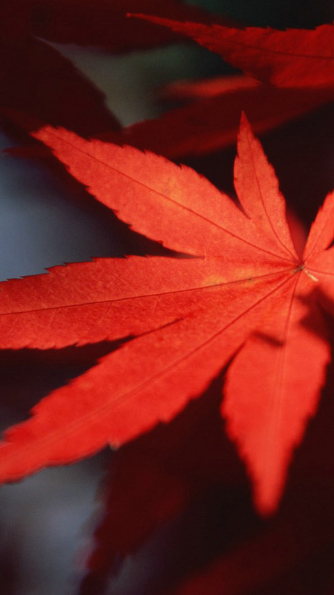 富有哲理又唯美的名言
