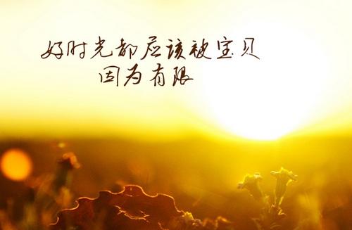 适合自己的心情语录短