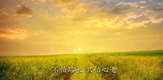 适合自己的心情语录短