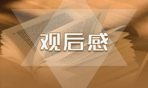 电影莫扎特传观后感