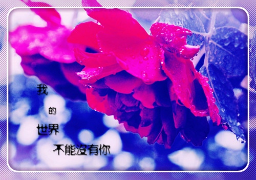 吸引人点赞的朋友圈搞笑说说42句