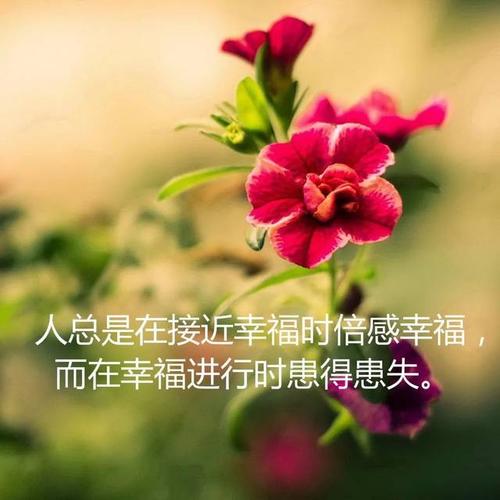 感叹人生沧桑的诗词