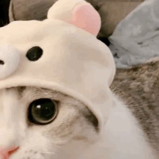 表现出人物快乐的心情的句子