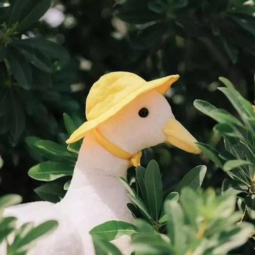 让别人看不出来的情话