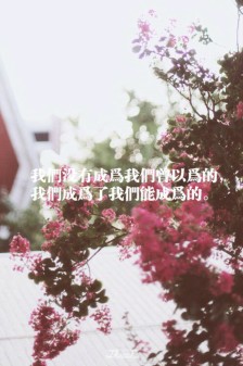 形容自己不易的说说