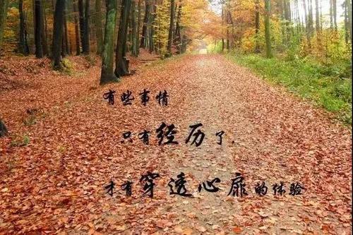 最好的经典语录鸡汤感悟人生