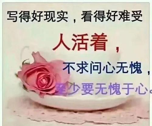 50字短信问候语